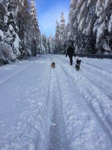 signal-attachment-2019-11-10-121408 001