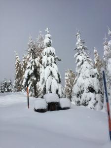 signal-attachment-2019-11-10-121408 004