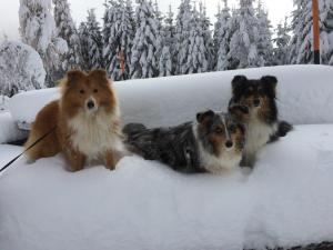 signal-attachment-2019-11-10-121408 005