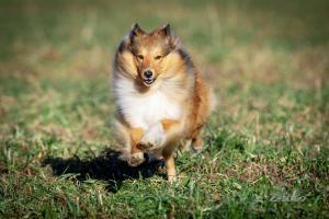 signal-attachment-2020-01-06-211201 012