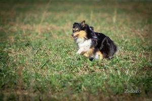 signal-attachment-2020-01-06-211201 013