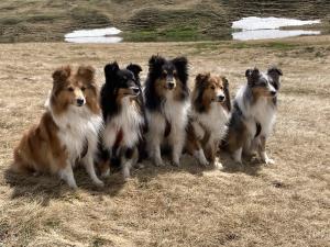 signal-2024-06-23-173302 002