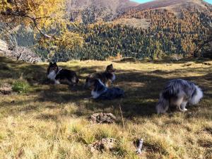 Sonntagsausflug 15.10