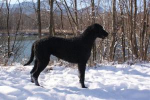 Winter 2009