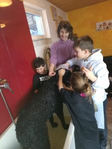 288c4f41-84ab-466a-aeed-e4c1ef3f15e4