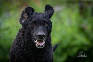 signal-2019-06-02-200721