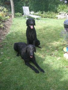 Enzo und Ashanti_1  