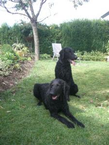 Enzo und Ashanti_3  