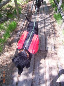 RIMG0077 _1_ 