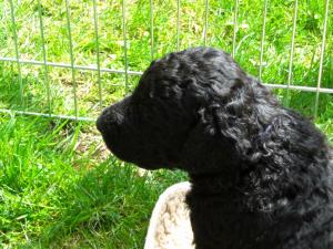 mini-CIMG0779  