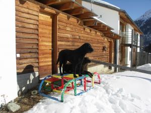 mini-DeckenF-Wurf 020    