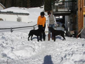 mini-DeckenF-Wurf 025    