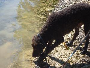 Erste Schritte zum Wasser  
