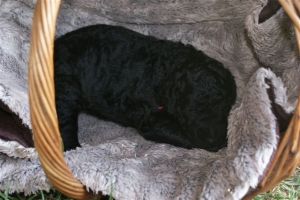 Cassandra_15 Tage alt_1   