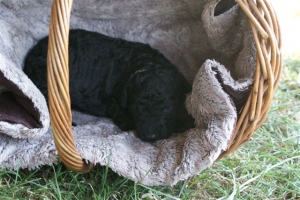 Cassandra_15 Tage alt_4   