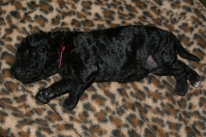 Cassandra_8 Tage alt_2   