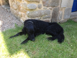 Im Schatten der Mauer 