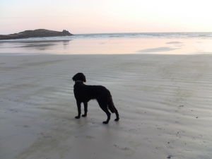 Is dat schööön 