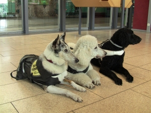 Königswinter_Drachenfelsbahnstation 