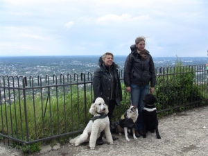 Königswinter_Drachenfelsen 2 