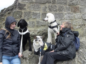 Königswinter_Drachenfelsen_1 