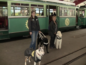 Königswinter_Zahnradbahn 