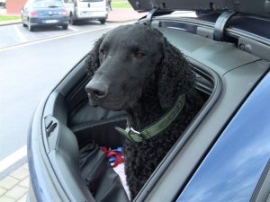 Urlaubsreise Stolberg-Pockau_1   