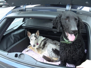 Urlaubsreise Stolberg-Pockau_2   