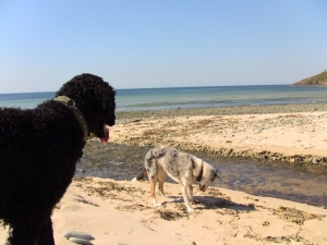 Was macht Roxana da_   