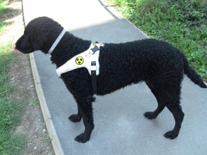 Wien_Gasometer Parkplatz   