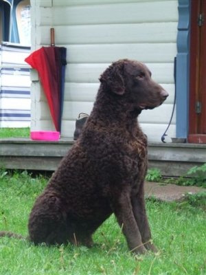 07-06-03 Noorwegen 059