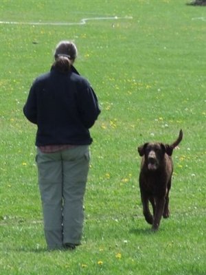 07-06-03 Noorwegen 183