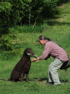 07-06-03 Noorwegen 235