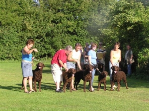 wcs 2006 brothers and sisters  