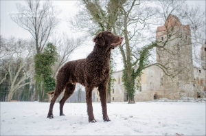 1545699_430808613688510_354203818_n 