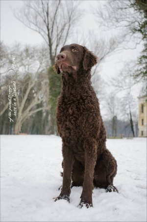 1654346_430808593688512_978291513_n 