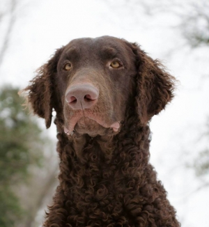 970583_430812750354763_759540454_n 