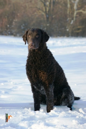 419648_594463540568343_1942691284_n   