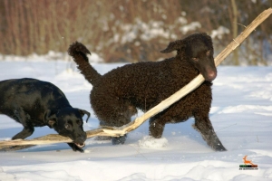 419680_594462563901774_1602916977_n    