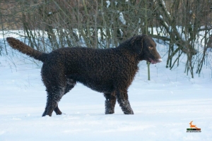 554390_594461683901862_1163334461_n    