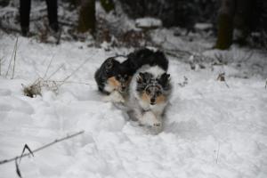 17e2fc32-0a40-4070-8170-47794fad895d