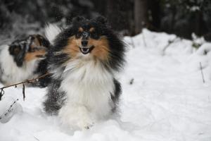 1c8c0f5a-c09d-4036-a329-6718a6004608