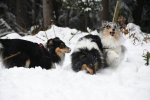 5ae240b0-8c91-4bc2-8fd3-d219730cef37