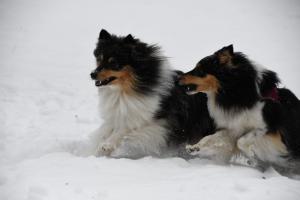 5c587273-49bc-456f-9796-6e2631a93613