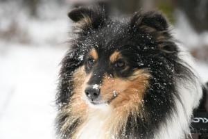 a7774f50-894e-4298-9373-3cfb53a103dd