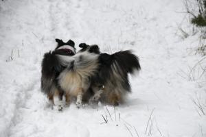 aa0cf52a-53b0-4232-bb1b-579785e571db