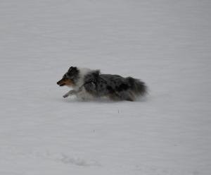 ce56f729-ecc3-4a5a-8631-4dc2e92a7231