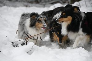 e0867638-0f26-477c-a79c-ecb8abfe2a28