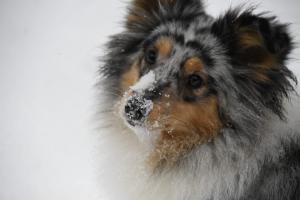 f3f9c255-1be4-4fba-b60c-9fd163c0052b