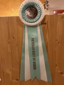 signal-2024-11-10-091618 002